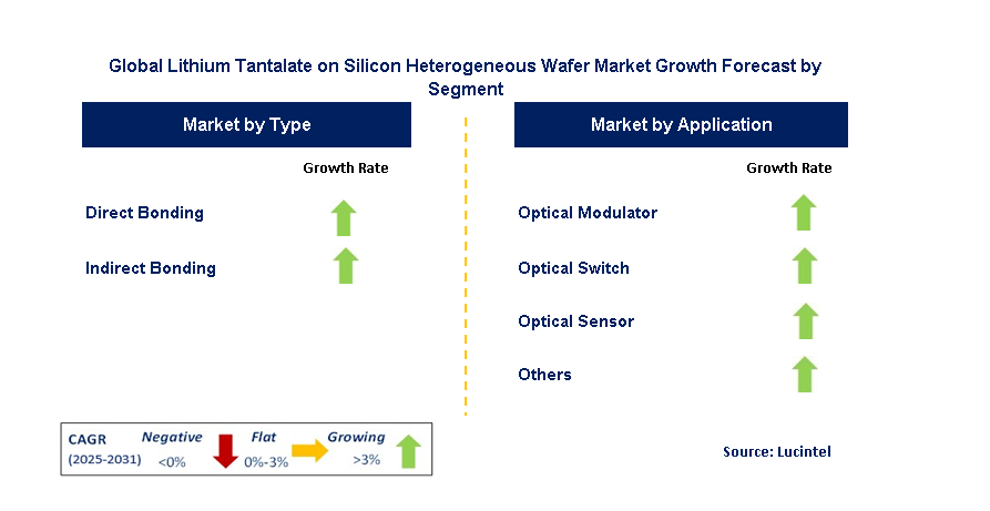 Lithium Tantalate On Silicon Heterogeneous Wafer Market by Segment